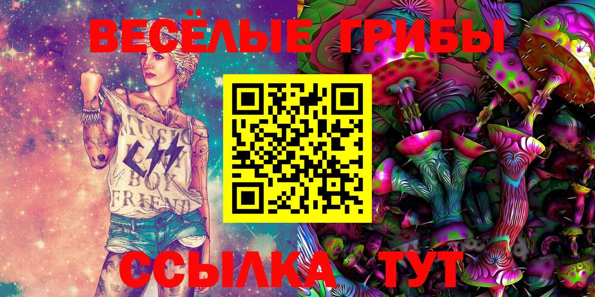 Псилоцибиновые грибы мицелий  Вход с VPN  Мценск 