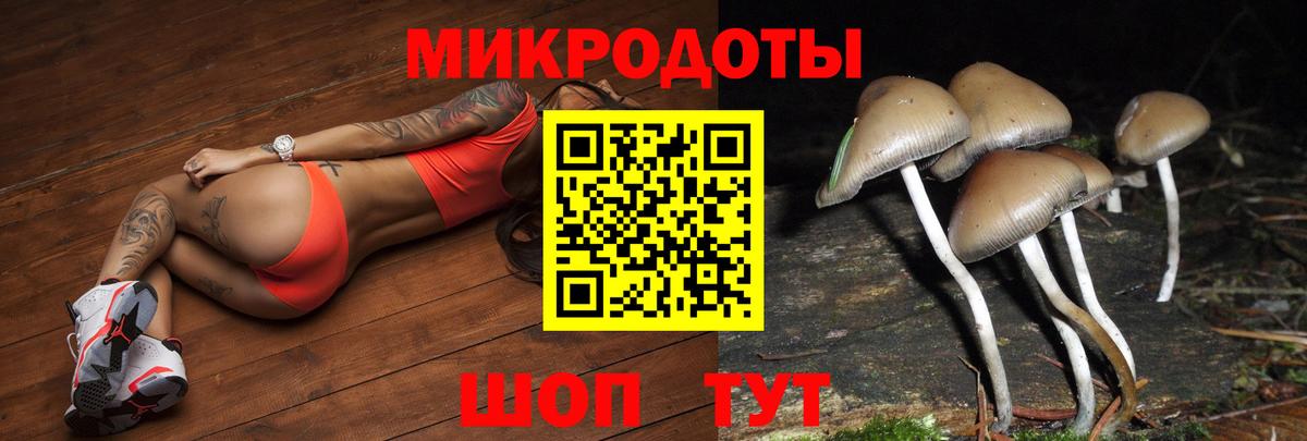 Псилоцибиновые грибы мухоморы Мценск